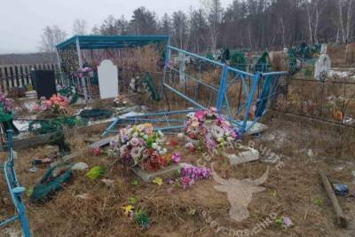 Убегавшие от собак коровы разрушили могилы на кладбище в селе Забайкалья