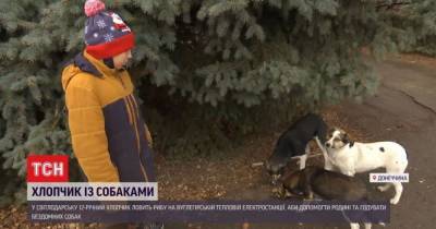 Мальчик-рыбак из Донбасса спасает бездомных собак: история доброты