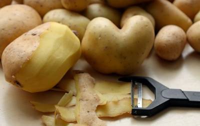 В Минобороны опровергли слухи о "российском картофеле"