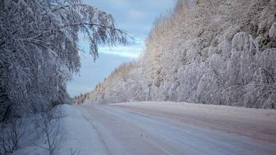 Гидрометцентр предупредил о надвигающихся на европейскую часть России морозах