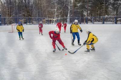 В Ярославле прошел турнир по хоккею с мячом