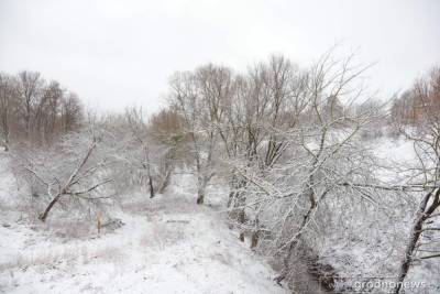 Снегопад в Беларуси: рекордные осадки, ДТП, обрывы электросетей и новое предупреждение синоптиков