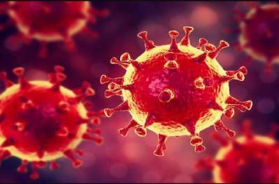 Коронавирус продолжает размножаться в теле человека даже после смерти: выводы ученых