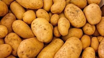 Россиянам сообщили о штрафе за выращивание картофеля