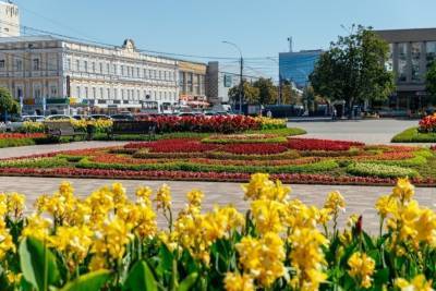 Тысячи деревьев высадили в Ставрополе за год