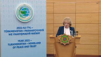 Глава центра ОБСЕ в Ашхабаде провела брифинг о туркменском нейтралитете