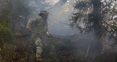 Грузия в огне: в стране бушуют шесть лесных пожаров