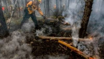 Природные пожары бушуют в районе аэропорта Сочи и близ Дагомыса