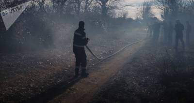 Минсельхоз Грузии призывает граждан не сжигать растительные отходы