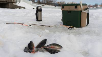 В МЧС России напомнили про толщину льда для безопасной рыбалки