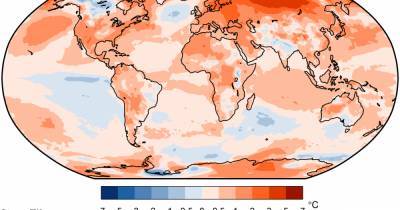 Глобальное потепление: 2020 побил прошлогодний рекорд и стал одним из самых жарких в истории