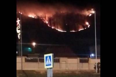 Пожар вблизи аэропорта в Сочи потушен