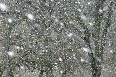 Сильные снегопады ожидаются в Удмуртии 10 января