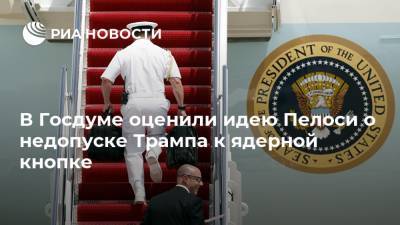 В Госдуме оценили идею Пелоси о недопуске Трампа к ядерной кнопке