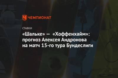 «Шальке» — «Хоффенхайм»: прогноз Алексея Андронова на матч 15-го тура Бундеслиги