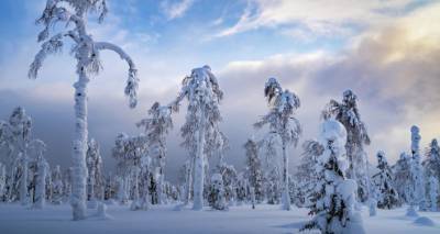 Уральские пальмы и белый крокодил: самые красивые места России зимой