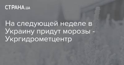 На следующей неделе в Украину придут морозы - Укргидрометцентр