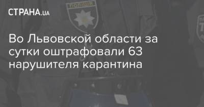 Во Львовской области за сутки оштрафовали 63 нарушителя карантина