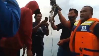 В Минтрансе Индонезии назвали точное число пассажиров на борту разбившегося лайнера