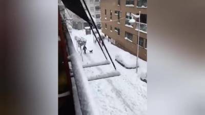 Три человека стали жертвами снежной бури в Испании - piter.tv - Испания - Мадрид