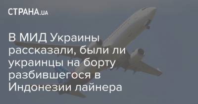 В МИД Украины рассказали, были ли украинцы на борту разбившегося в Индонезии лайнера