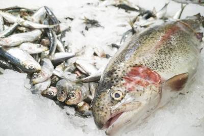 Около 640 кг рыбы «без паспорта» сняли с продажи в ДНР за прошлый год