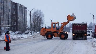 Жителям Ленинградской области пообещали морозы