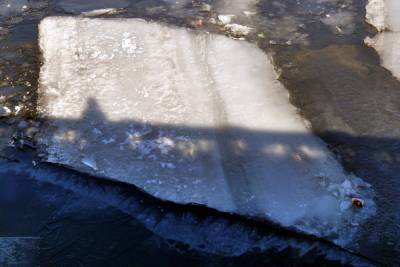 Десятерых петербуржцев оштрафовали за выход на лед