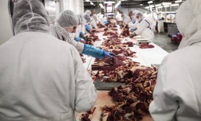 «Вся система прогнила»: в Европе обеспокоены состоянием мясной промышленности