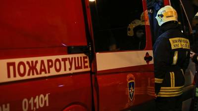 В Пермском крае при пожаре погибли двое детей