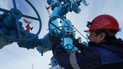 В ФРГ назвали нереалистичным план отказа от российского газа к 2045 году
