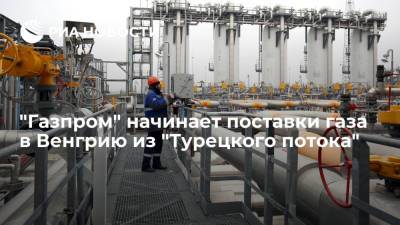 "Газпром" начинает поставки газа в Венгрию из "Турецкого потока" через Болгарию и Сербию