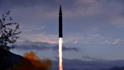 «Голос Кореи»: в КНДР испытали новую зенитную ракету