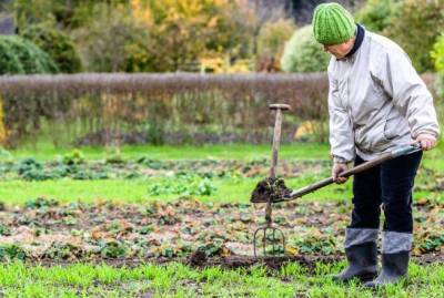 Ошибки при подготовка огорода к зиме, которые снизят урожайность в будущем году