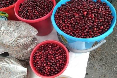 Свежие овощи, мясо, забайкальскую ягоду и мёд продадут на ярмарке (6+) 2 октября в Чите