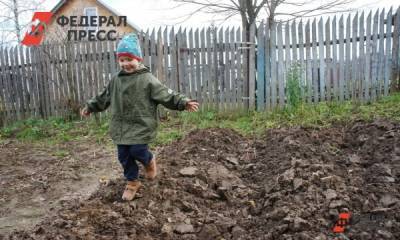 Власти Кузбасса ищут инвесторов для сельхозпроектов