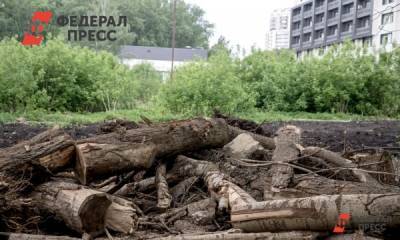 Экоконфликты Урала: протесты, зеленая река и черные лесорубы