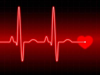 Жизнь в груди: 13 фактов о сердце