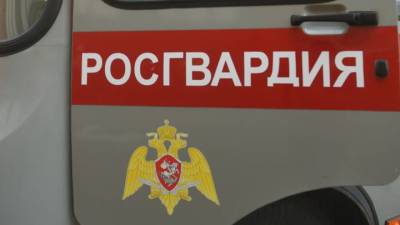 Росгвардейца в Мурманске ищут возможного поджигателя здания правительства