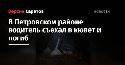 В Петровском районе водитель съехал в кювет и погиб