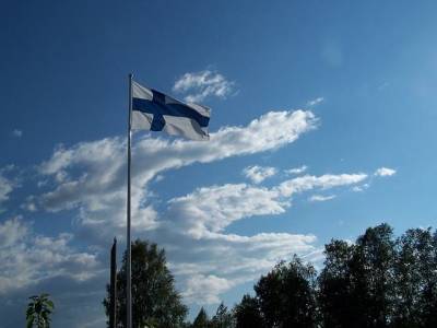 Финляндия стала первой страной в Европе, которая начнет вакцинировать норок и мира