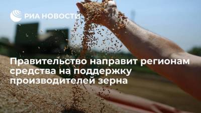 Правительство направит более десяти миллиардов рублей на поддержку производителей зерна