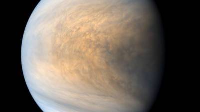 Облака Венеры могут поддерживать фотосинтез