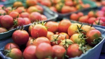 В Башкирии зафиксирован резкий рост цен на овощи
