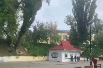 Огромное дерево чуть не прибило студентов КПИ - инцидент попал на видео