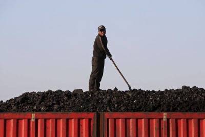 СМИ: даже если ЕС попросит у РФ больше угля, его ждет разочарование