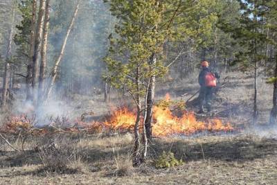 В Удмуртии сняли противопожарный режим в лесах