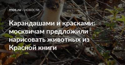 Карандашами и красками: москвичам предложили нарисовать животных из Красной книги - mos.ru - Москва