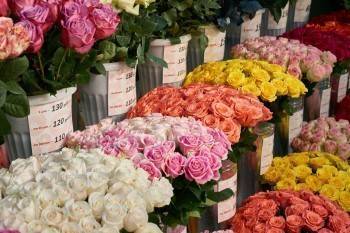 Женщина ловко обманывала продавцов цветочных магазинов (ВИДЕО)