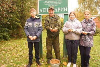 Школьники Серпухова помогли заготовить семена красивого дерева